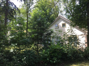 Beautiful house in the forest